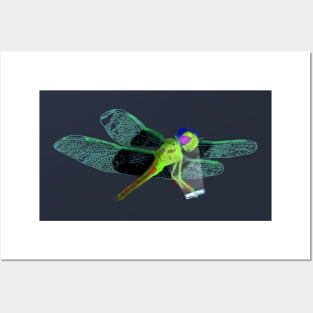 Millennial Dragon Fly Posters and Art